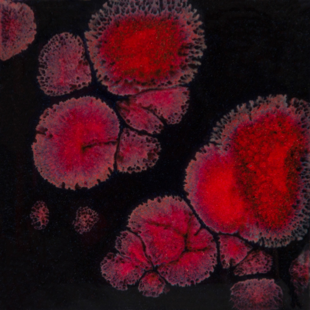 Esmalte Mayco - Jungle Gems - CG - 779 BLACK OPAL