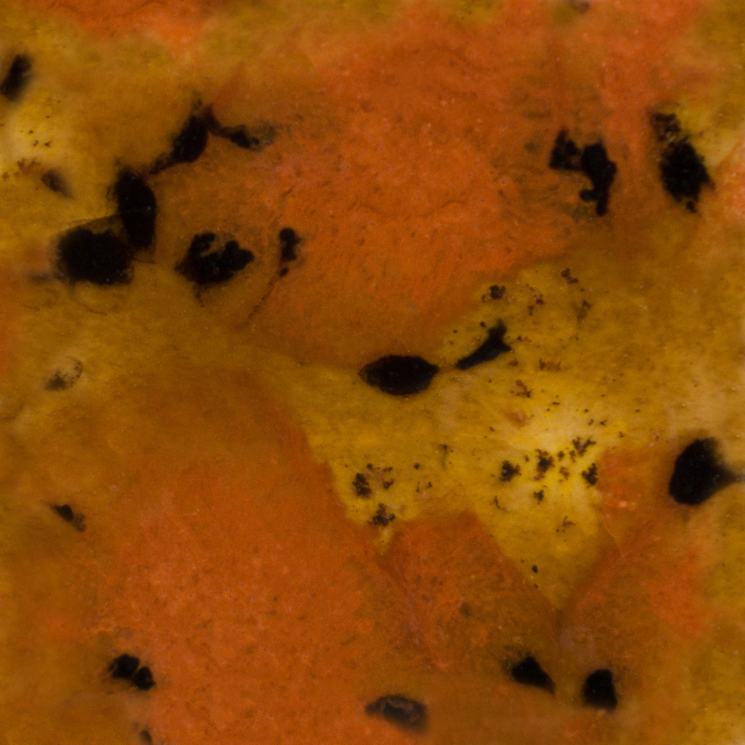 Esmalte Mayco - Jungle Gems - S - 2725 Safari