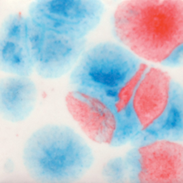 Esmalte Mayco - Jungle Gems - S - 2731 Kaboom