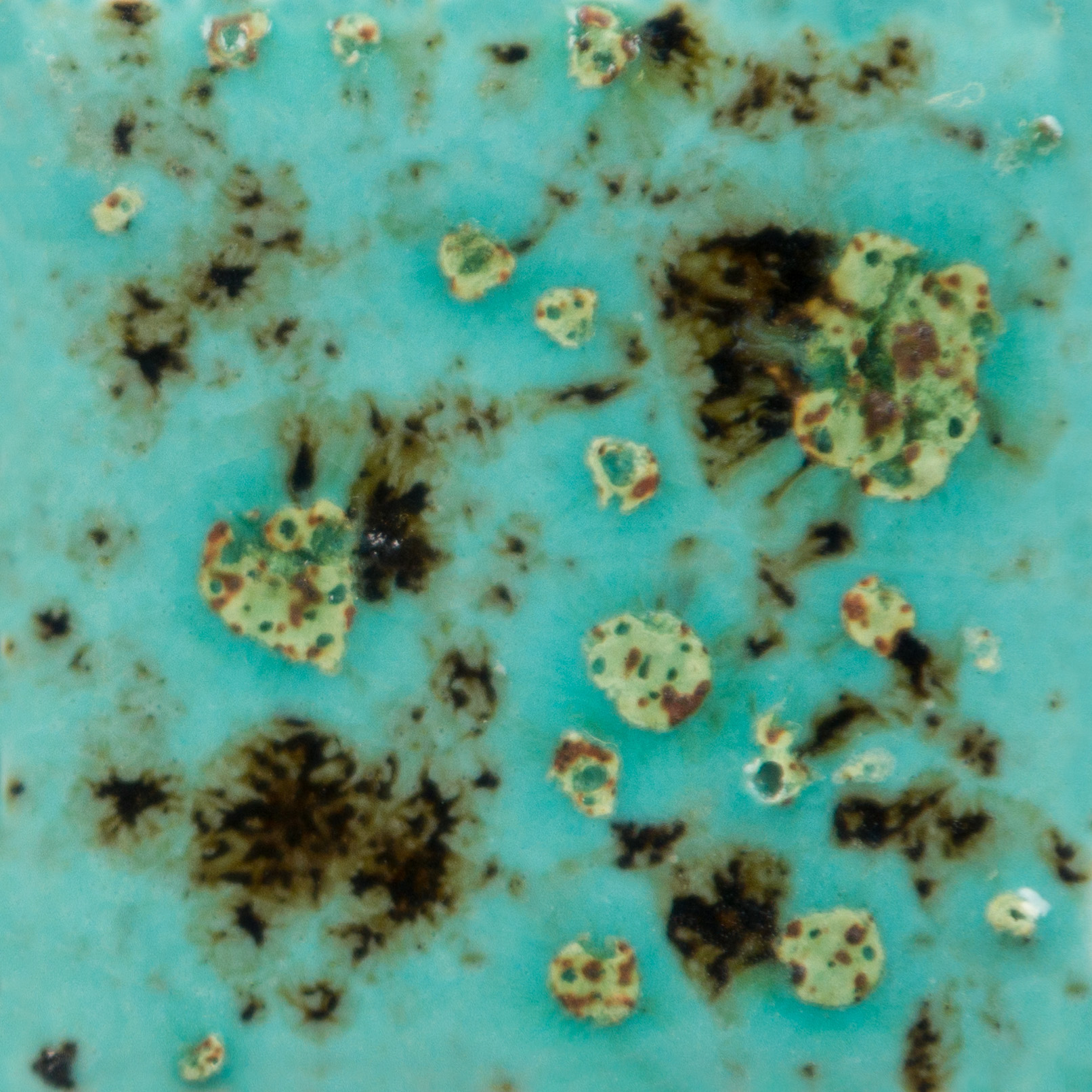 Esmalte Mayco - Jungle Gems - CG-1008 BLUE GUPPY